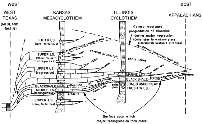 Cross section made of rock columns from West Texas, Kansas, Illinois, and the Appalachians.