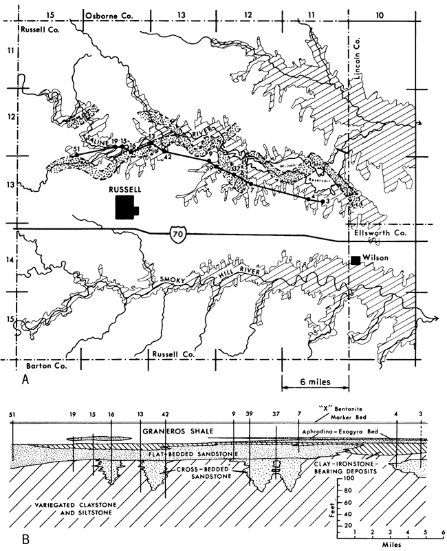 Outcrop of Dakota found along stream beds (Smoky Hill River and Saline River); cross section starts north of Russell and runs east to Lincoln Co. line.