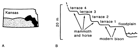 Neosho River basin is in southeastern Kansas; drawing shows terraces and fauna found.