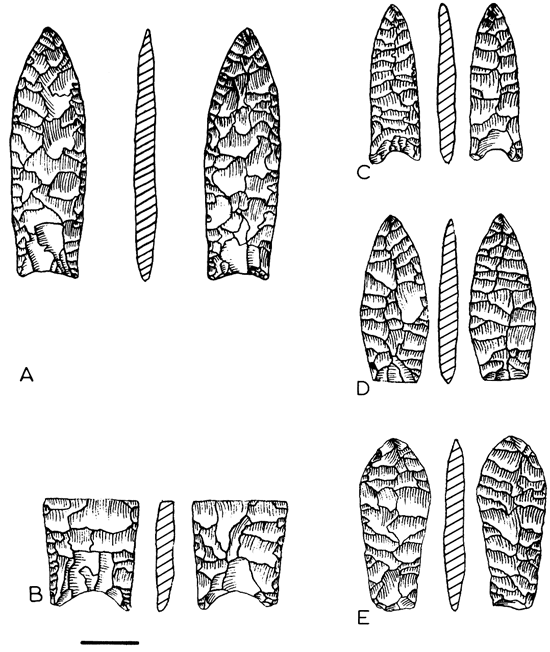 Drawings of 6 sets of projectile points.
