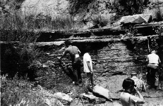 Black and white photo of group measuring a section; outcrop is steeply sided, about as tall as a man; many very thin beds with two more resistant beds at top.