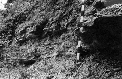 Black and white photo of outcrop, measuring stick for scale.