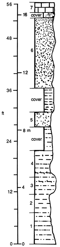 Description of Osage Cemetery section; split into 7 units.
