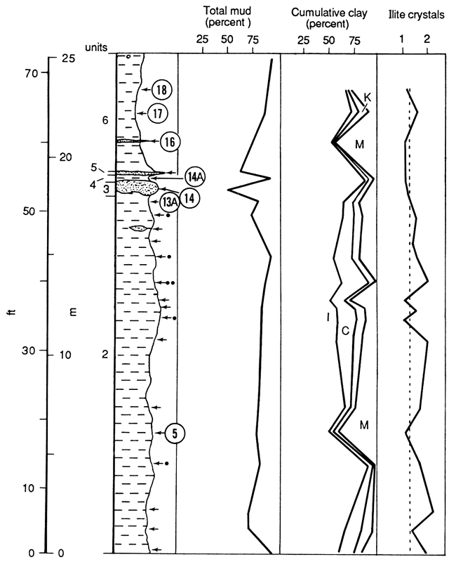 Lithologic chart compared to total mud (percent), cumulative clay (percent), and illite crystals.