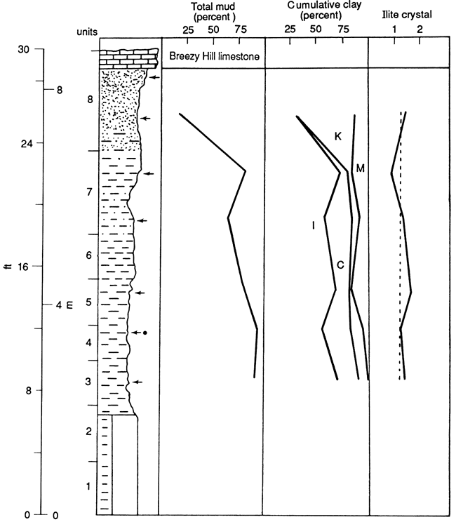 Lithologic chart compared to total mud (percent), cumulative clay (percent), and illite crystals.