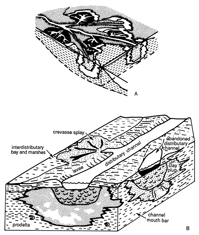 Two diagrams showing depositional environments.