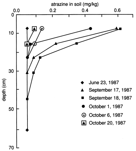 Atrazine concentration increases at shallow depths over sampling period.