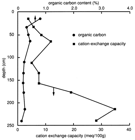 Carbon content less than 1% at top (10 cm?) and stays low; cation exchange less than 10 (meq/100 g) until 150 cm, rises to 35 at 220 cm.