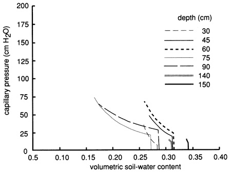 Water-retention curves have similar shape no matter the depth, though deeper samples have lower values.