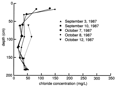 Chloride concentrations at depth for a series of dates after event.