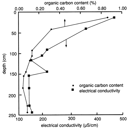 Carbon content less than 1% at top (10 cm?) but drops quickly to less than 0.1% at 150 cm and below; conductivity also drops quickly from surface to 100 cm.