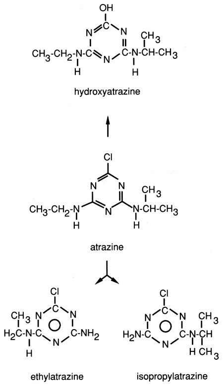 Chemical structure for atrazine and by-products.