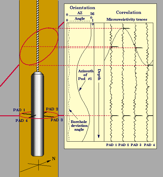 Offshore Tadpole Depth Chart