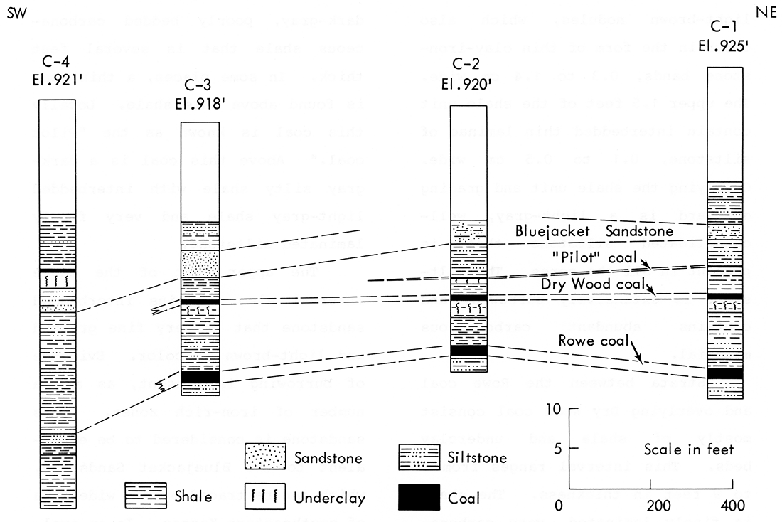 Cross section of stratigraphy along the line of rock cores at the mine site (northeast to southwest).