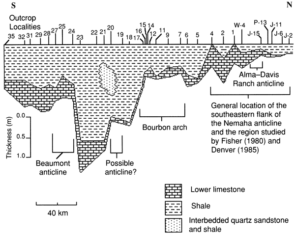 Cross section of lower part of Americus Limestone Member, Jackson to Cowley counties.