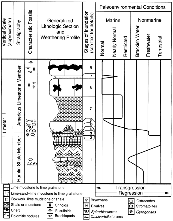 Paleoenvironmental conditions and generalized section of Americus and Hamlin members.