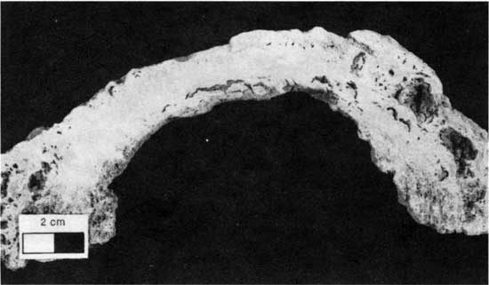 Black and white photo of Americus Limestone Member, type 2 boundstone.