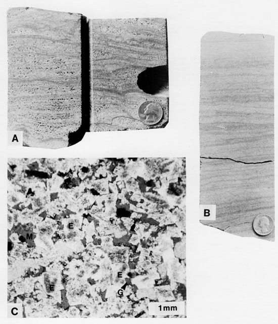 One black and white photomicrograph and two black and white photos of core.