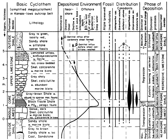 Rock units, depositional environment, fossil distribution, and depositional phase for cyclothems.