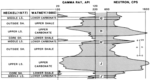 Gamma-ray and neutron logs compared to cyclothem phases.