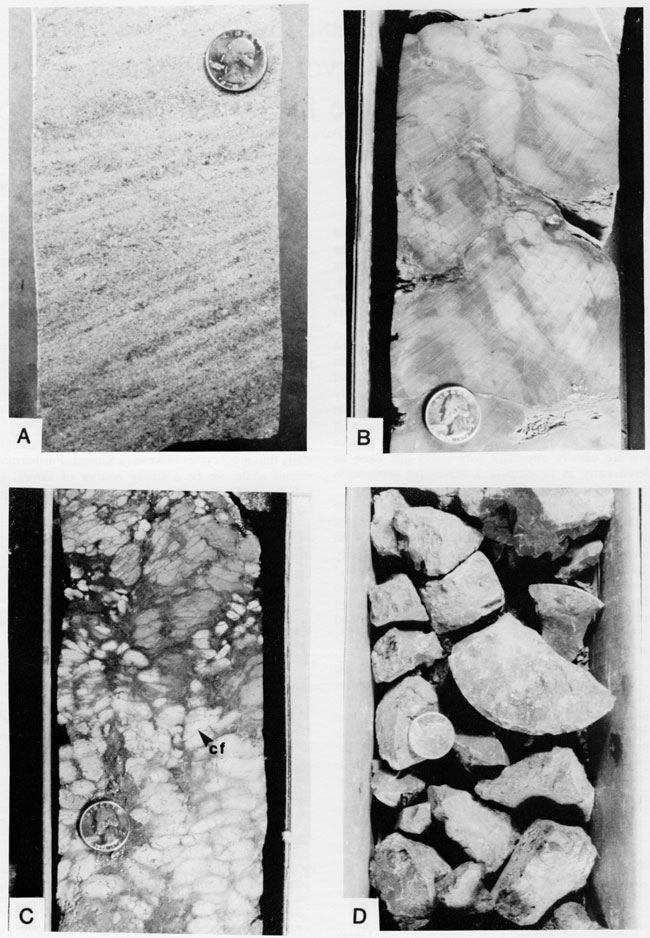 Four black and white photos of core.