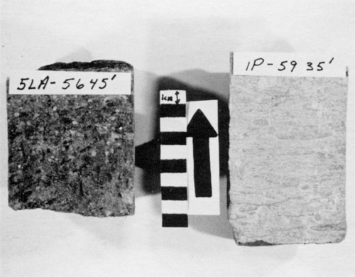 Black and white photo of two cores.