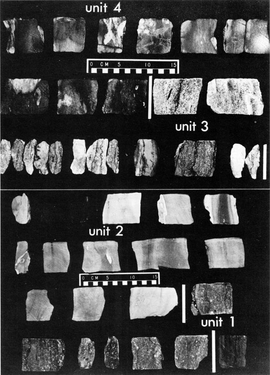 Black and white photos of Viola Limestone core.