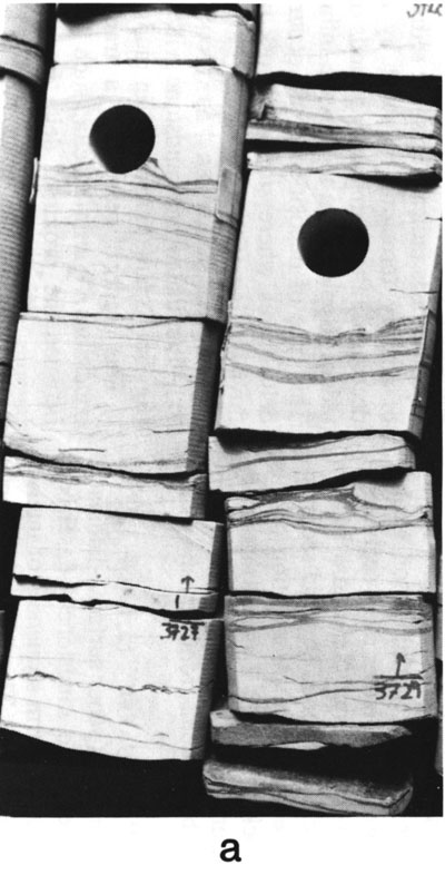 Black and white photo of core.