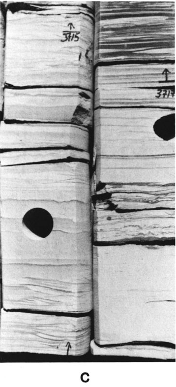 Black and white photo of core.