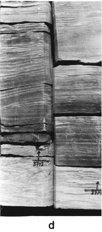 Black and white photo of core.