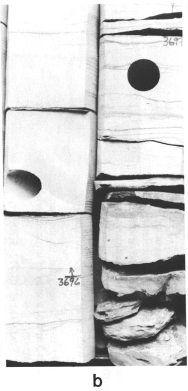 Black and white photo of core.