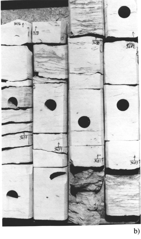 Black and white photo of core.