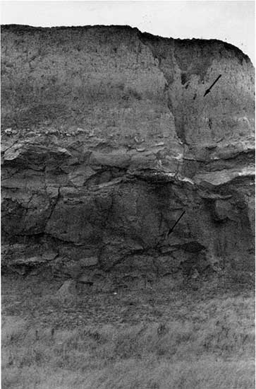 Black and white photo of silica-cemented sandstone in quarry.