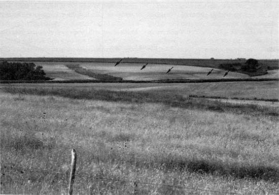 Black and white photo of loess stratigraphy.
