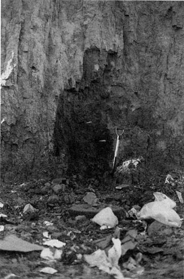 Black and white closeup of Gilman Canyon Fm soil.
