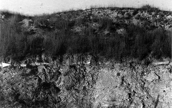 Black and white photo of outcrop of Smoky Hill chalk-Ogallala contact.