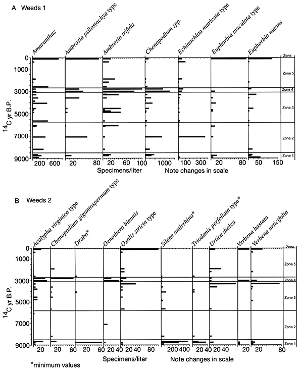 Summary of plant macrofossils derived from weeds.