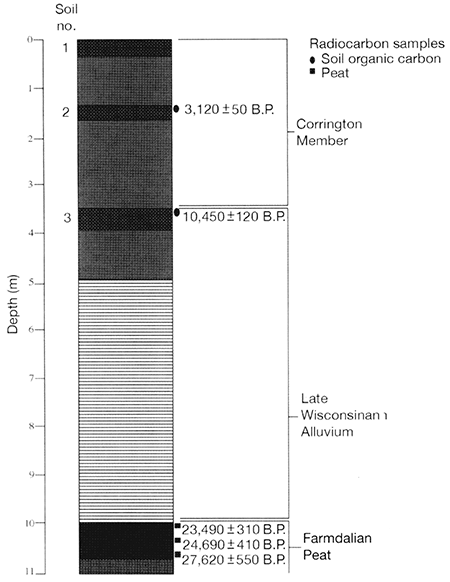 Stratigraphic section for the Miles alluvial fan.