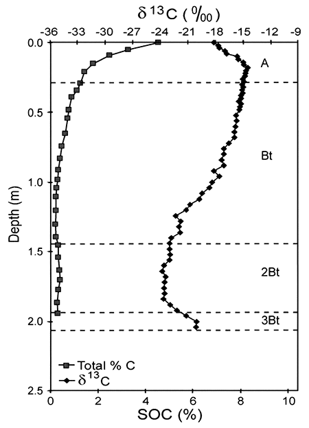 Distribution of delta C-13 and SOC within an upland soil profile.