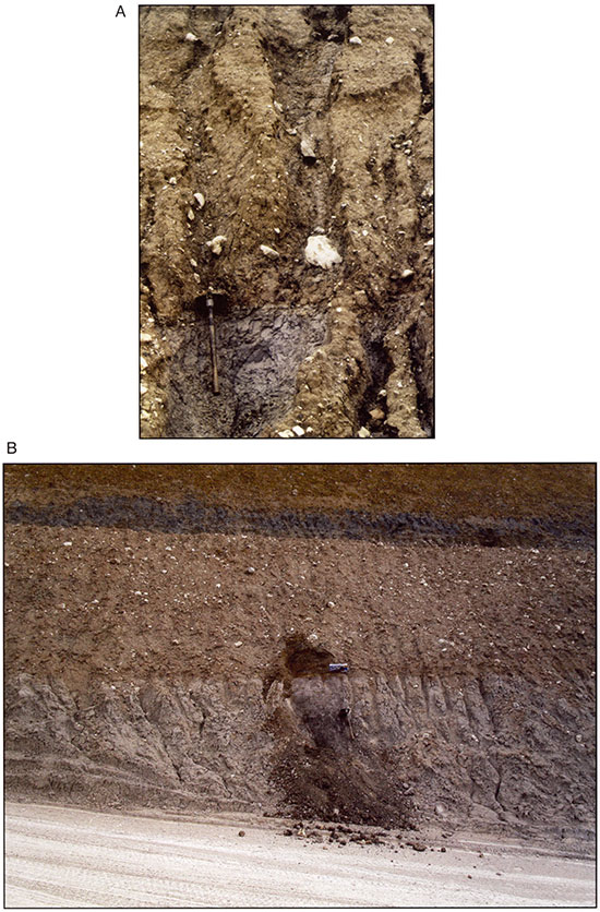 Two color photos; Basal contact of Atlanta Formation till.