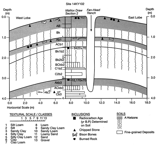 Diagram of the cutbank at the Simshauser site.