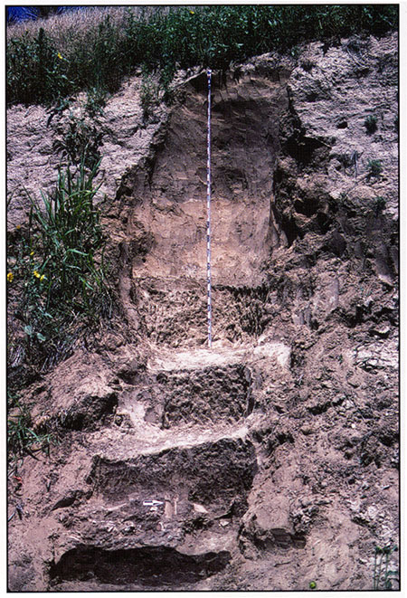 Color photograph of the section that was described at the Winger site.
