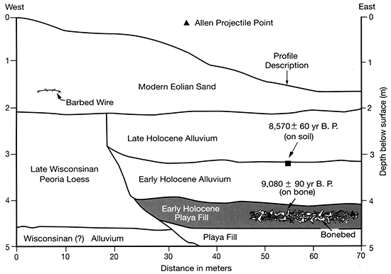 Cross section showing stratigraphy at the Winger site.
