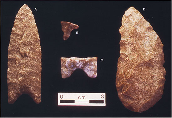 Color photo of artifacts recovered during the June 2002 excavations at the Winger site.