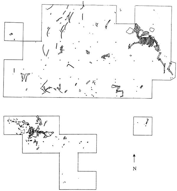 Sketch map of Area 1 at at the Waugh site.