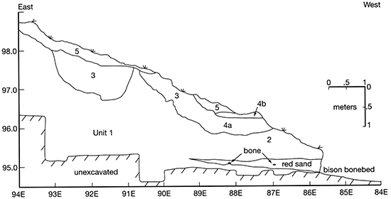 Stratigraphic cross section of Area 1 at at the Waugh site.