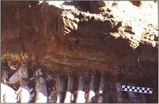 Color photo of the laminated sediments between the middle and upper bonebeds at Cooper.