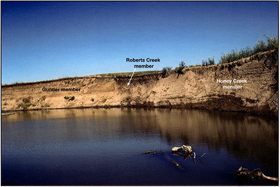 Photograph of the cutbank at the Claussen site.