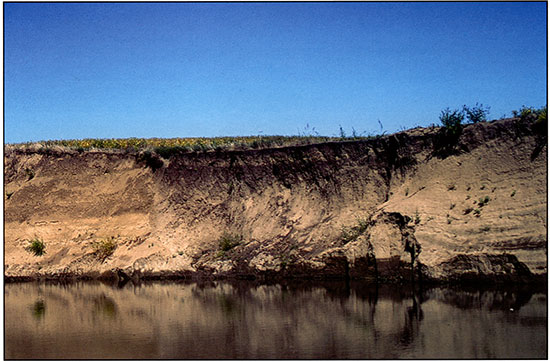Photograph of the channel fill exposed in the cutbank at the Claussen site.