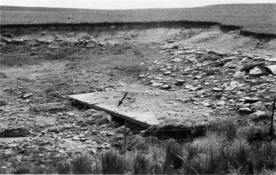 Black and white photo of quarry, with flat bed of Fencepost Limestone exposed.